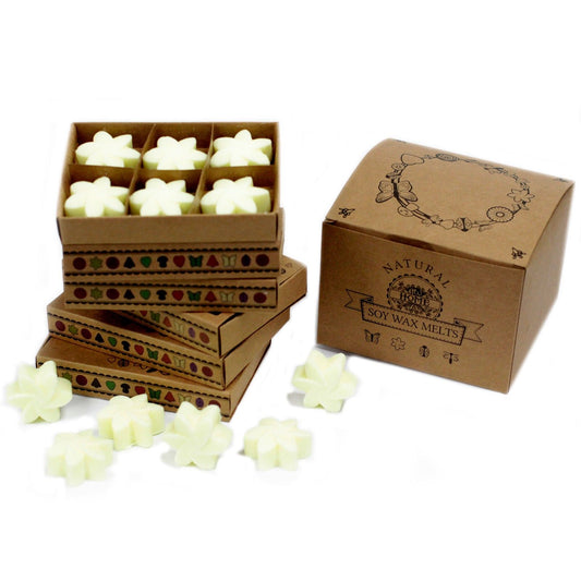 Gift Set of 6 Wax Melts - Lemon Harvest