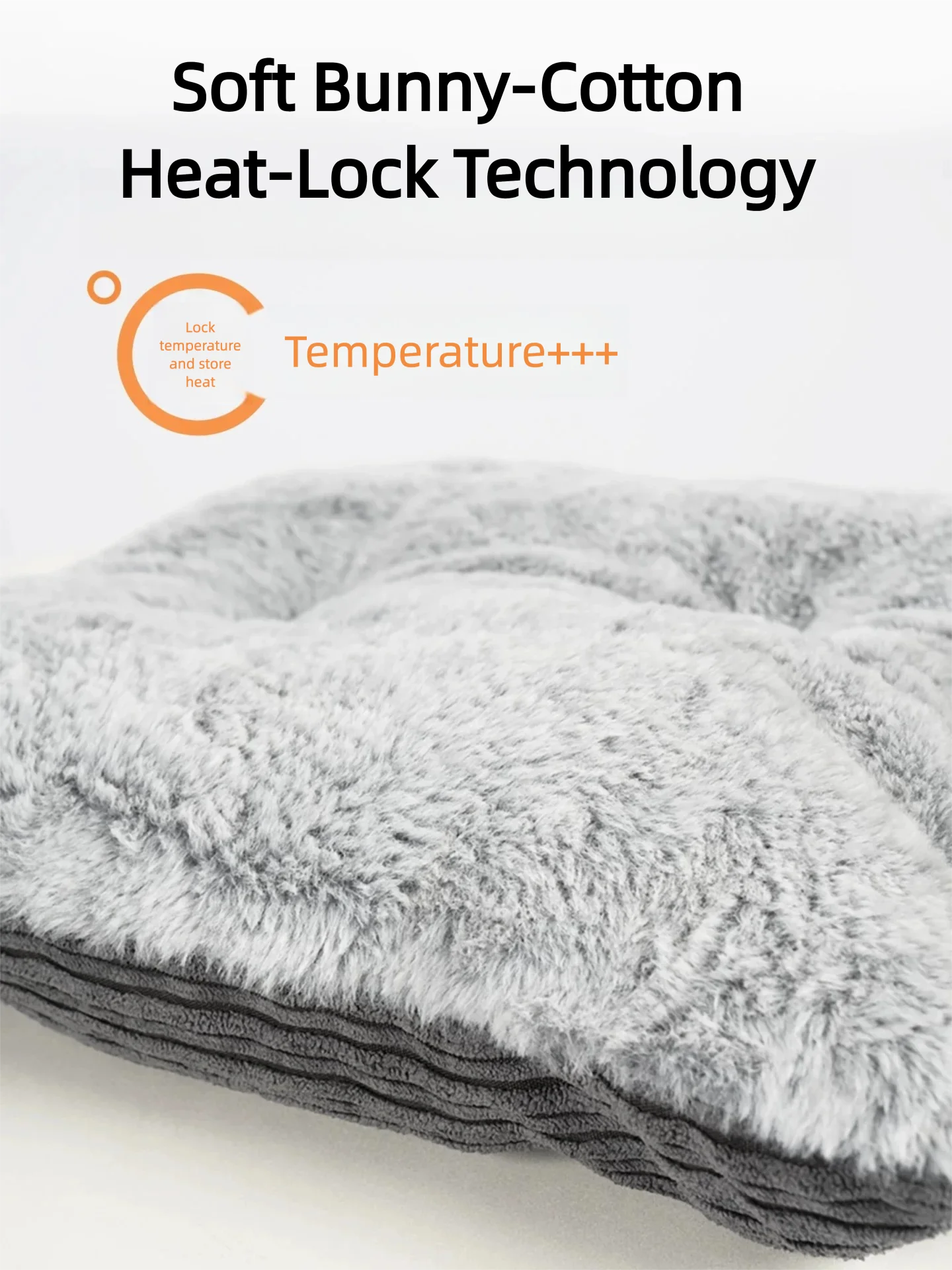 Cozy Cat Bed with Spacious Design