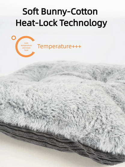 Cozy Cat Bed with Spacious Design