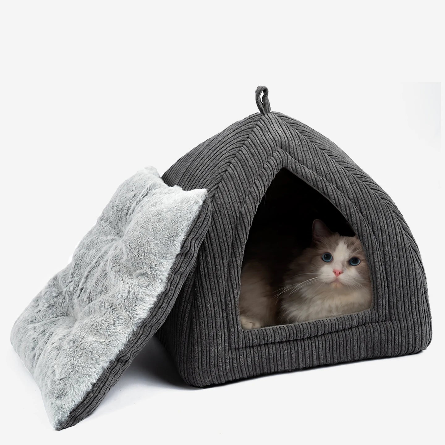 Cozy Cat Bed with Spacious Design