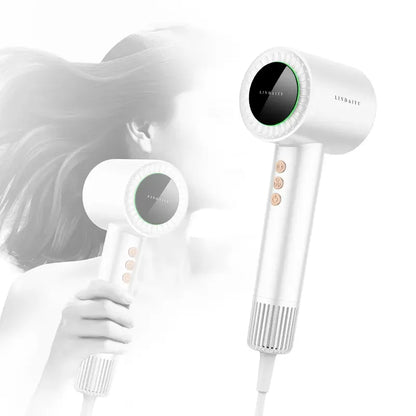 Wholesale High-Speed Professional Anion HD08 Ionic Metal Hair Dryer with Curling Iron for Home Salon Hotel Use