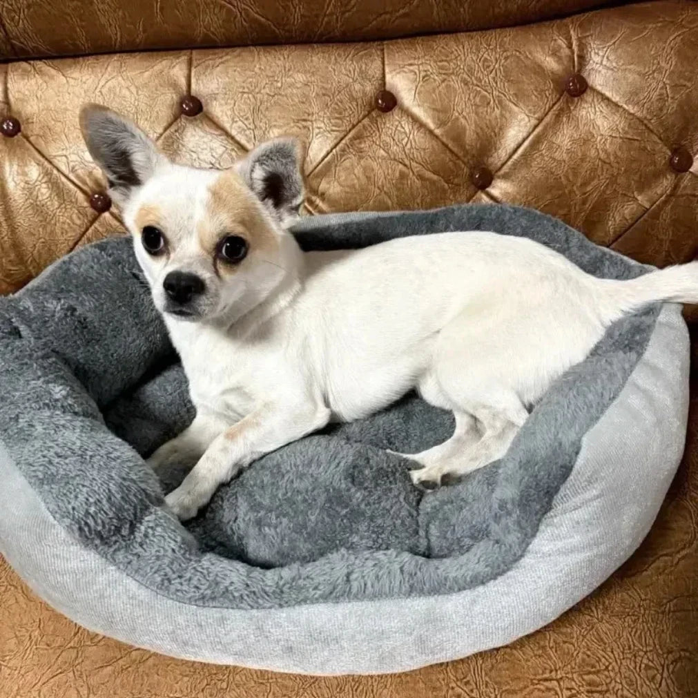 Soft Warm Dog Bed Pets Basket Cat House Sofa for Medium Large Dog Sofa Bed Cushion Dog Bed House Pet Supplies Accessories2025new