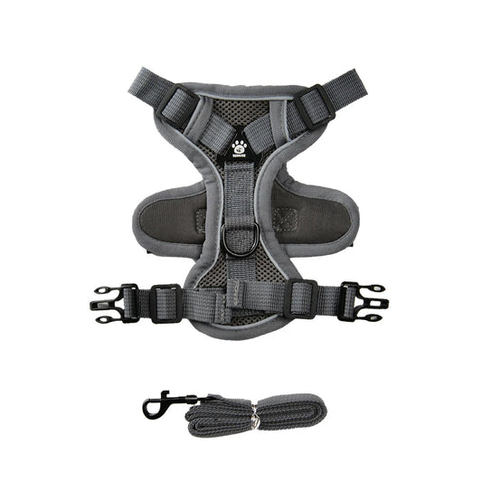 Pet Harness and Leash Set Reflective Walking Puppy Vest Chest Strap For Small Dogs Cats Breathable Outdoor Harnesses With D-Ring