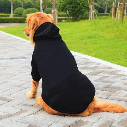 Sporty Dog Hoodie – Warm Sweatshirt for Small to Large Breeds