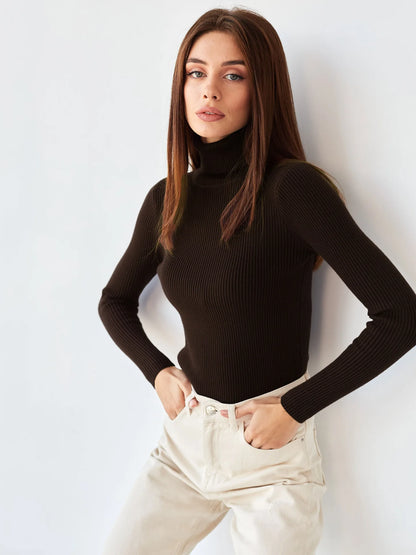 2025 Autumn Winter Turtleneck Sweaters Women Soft Warm Pullover Slim Versatile Tops Ribbed Knitted Simple Elegant Women Sweater