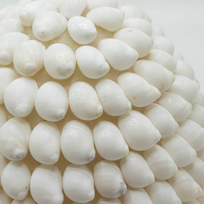 Boho Sea Shell Lamp - Buting Shell Oval - 15cm